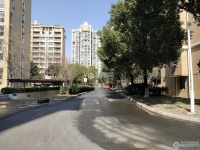 西庄花苑实景图，拍摄于2024/11/13