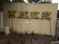 西庄花苑实景图，拍摄于2024/11/13