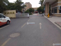 西庄花苑实景图，拍摄于2024/11/13