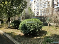 西庄花苑实景图，拍摄于2024/11/13