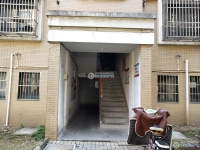 西庄花苑实景图，拍摄于2024/11/13