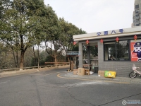 公园八号实景图，拍摄于2024/11/13