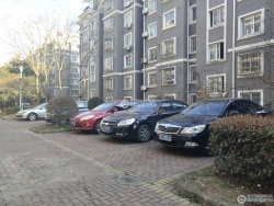 С�����´����