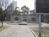 置地甲江南实景图，拍摄于2024/11/13