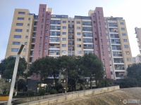 置地甲江南实景图，拍摄于2024/11/13