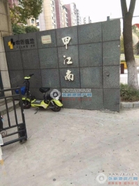 置地甲江南实景图，拍摄于2024/11/13