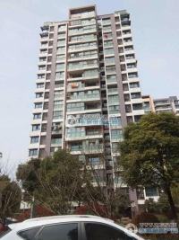 置地甲江南实景图，拍摄于2024/11/13