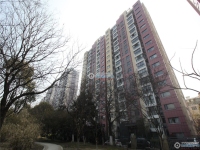 置地甲江南实景图，拍摄于2024/11/13
