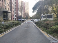 置地甲江南实景图，拍摄于2024/11/13