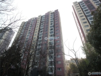 置地甲江南实景图，拍摄于2024/11/13