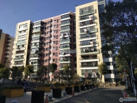 置地甲江南实景图，拍摄于2024/11/13