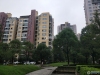 置地甲江南实景图，拍摄于2024/11/13