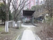 置地甲江南二期实景图，拍摄于2024/11/13