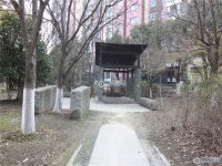 置地甲江南实景图，拍摄于2024/11/13