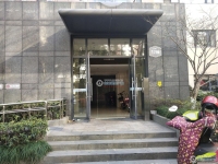 置地甲江南实景图，拍摄于2024/11/13
