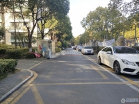 置地甲江南实景图，拍摄于2024/11/13
