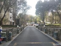 置地甲江南实景图，拍摄于2024/11/13