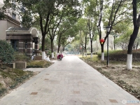 汇景豪苑实景图，拍摄于2024/11/13