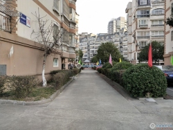 ���Է���