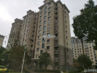 范庄花苑实景图，拍摄于2024/11/13