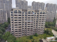 范庄花苑实景图，拍摄于2024/11/13