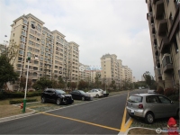 范庄花苑实景图，拍摄于2024/11/13