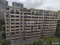 范庄花苑实景图，拍摄于2024/11/13