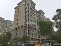 范庄花苑实景图，拍摄于2024/11/13