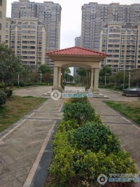 范庄花苑实景图，拍摄于2024/11/13