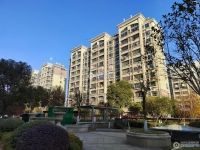 范庄花苑实景图，拍摄于2024/11/13