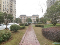 范庄花苑实景图，拍摄于2024/11/13