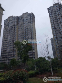 范庄花苑实景图，拍摄于2024/11/13