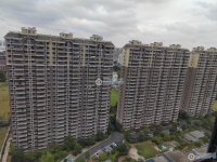 范庄花苑实景图，拍摄于2024/11/13