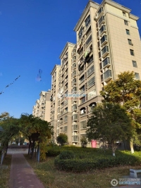 范庄花苑实景图，拍摄于2024/11/13