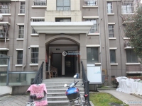 范庄花苑实景图，拍摄于2024/11/13