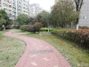 范庄花苑实景图，拍摄于2024/11/13