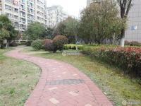 范庄花苑实景图，拍摄于2024/11/13