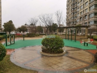 范庄花苑实景图，拍摄于2024/11/13