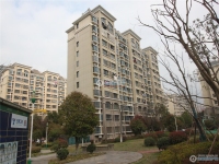 范庄花苑实景图，拍摄于2024/11/13