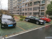 范庄花苑实景图，拍摄于2024/11/13
