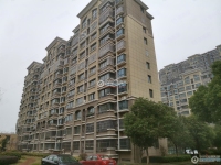 范庄花苑实景图，拍摄于2024/11/13