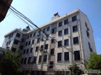 公园新村实景图，拍摄于2024/11/13