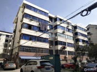公园新村实景图，拍摄于2024/11/13