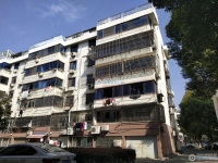 公园新村实景图，拍摄于2024/11/13