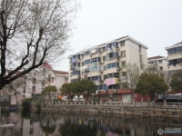 城北新村实景图，拍摄于2024/11/13