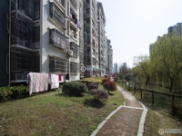 锦绣花苑实景图，拍摄于2024/11/13