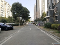 锦绣花苑实景图，拍摄于2024/11/13