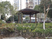 锦绣花苑实景图，拍摄于2024/11/13