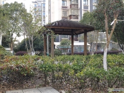 ���廨Է���
