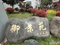 御景苑实景图，拍摄于2024/11/13